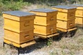 Beehives Royalty Free Stock Photo