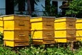 Beehives Royalty Free Stock Photo