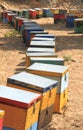 Beehives Royalty Free Stock Photo