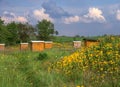 Beehives Royalty Free Stock Photo