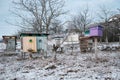 Beehives in apiary covered with snow in wintertime in the frosty dawn at sunset