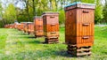 Beehives in apiary near forest