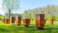 Beehives in apiary near forest