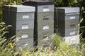 Beehives and bees in apiary in a botanical garden in Wellington, New Zealand. Beekeeping or apiculture concept