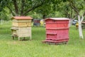 Beehives with bees in a honey farm.