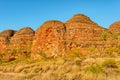 Beehives in Bungle Bungles National Park Royalty Free Stock Photo