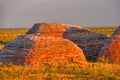 Beehives in Bungle Bungles National Park Royalty Free Stock Photo