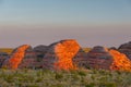 Beehives in Bungle Bungles National Park Royalty Free Stock Photo