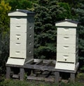 Beehives at Chicago Botanic Gardens Royalty Free Stock Photo