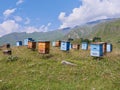 Beehives on colorful flower meadow in the mountains of Georgia.