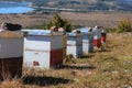 Beehives (Croatia)