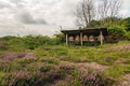 Beehives in a Dutch heath landscape