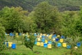 Beehives end spring trees Royalty Free Stock Photo