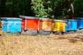 Beehives in the forest Royalty Free Stock Photo
