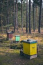 Beehives in the forest