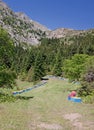 Beehives In Forest Track