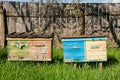 Beehives on the fruit garden in Ukraine.