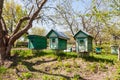 Beehives in the garden at apiary