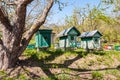 Beehives in the garden at apiary