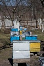 Beehives in the garden among the trees in early spring. Garden trees without leaves. First spring flight of over