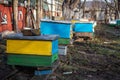 Beehives in garden among the trees in early winter. Garden trees without leaves. Preparing bees for wintering. Snowless winter on
