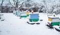beehives in the garden in winter snow floor. Wintering honeybees in fresh air outside winter. Hives on apiary in