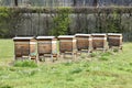Beehives in the gardens of The Louvre. Paris, France. March 29, 2023.