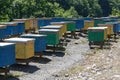 Beehives Royalty Free Stock Photo
