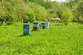 Beehives on the green lawn in the Museum-Reserve Leninskie Gorki. Russia