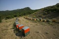 Beehives for honey in the mountains