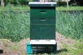 Beehives on land for natural beekeeping in nieuwerkerk aan den ijssel in the Netherlands.