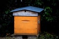 A closeup hive