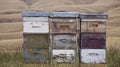 Beehives, Otago, New Zealand