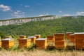 Beehives