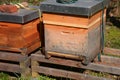 Beehives in the spring sun with flying bees, wooden beehive in garden with starting bees Royalty Free Stock Photo