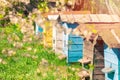 Beehives stand in a row on grass Royalty Free Stock Photo