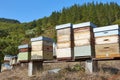 Beehives. Traditional colored wooden box. Asturias, Spain