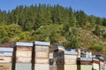 Beehives. Traditional colored wooden box in Asturias, Spain Royalty Free Stock Photo