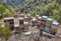 Beehives. Traditional colored wooden box. Muniellos, Asturias, S