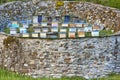 Beehives. Traditional stone wall structure against bears. Muniellos, Asturias