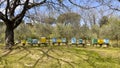 Beehives at the Villa I Cipressi Estate near Montalcino in the region of Tuscany, Italy.