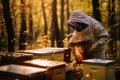 beehives working in apiary. beekeeping in apiary. beekeeper in the hives, Apiarist working with your bees to achieve sweet honey,