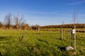 Beek, South Limburg, Netherlands. November 18, 2020. Tree of Life Forest. Green field with trees, wooden birdhouse and flowers