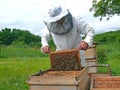 Beekeeper 22