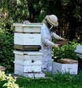 Beekeeper