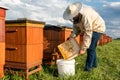 Beekeeper or Apiarist Collecting Pollen from Beehive. Healthy Bio Food and Beekeeping