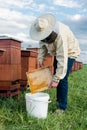 Beekeeper or Apiarist Collecting Pollen from Beehive. Healthy Bio Food and Beekeeping