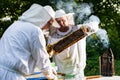 Beekeeper on apiary. Beekeeper is working with bees and beehives on the apiary.