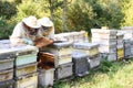 Beekeeper on apiary. Beekeeper is working with bees and beehives on the apiary.