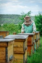 Beekeeper in an apiary near the hives. Apiculture. Apiary.